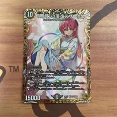 2026年最新】ゼニスザーク 金トレジャーの人気アイテム - メルカリ