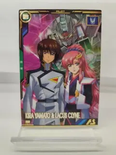 2026年最新】ラクス・クライン スリーブの人気アイテム - メルカリ