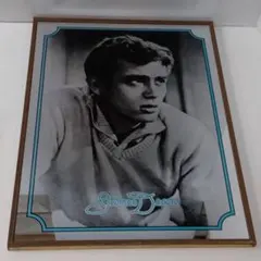 2026年最新】ジェームスディーン パブミラーの人気アイテム - メルカリ