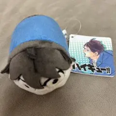 2026年最新】ハイキュー のるキャラマスコット 及川徹の人気アイテム