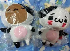 2026年最新】愛しすぎて大好きすぎる ハッピーバッグの人気アイテム