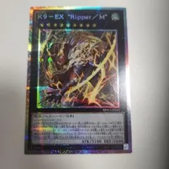 2026年最新】リッパー プリシクの人気アイテム - メルカリ