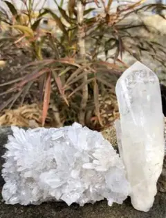 2026年最新】四川省菊花水晶クラスターの人気アイテム - メルカリ