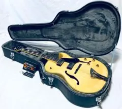 2026年最新】フルアコ ギターの人気アイテム - メルカリ