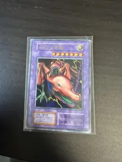 2026年最新】双頭の雷龍 初期の人気アイテム - メルカリ