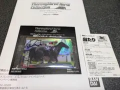 2026年最新】サラブレッドホース 直筆サインの人気アイテム - メルカリ