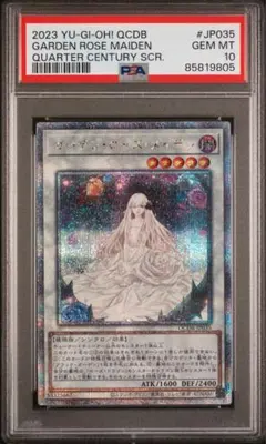 2026年最新】ガーデン・ローズ・メイデン 25thの人気アイテム - メルカリ