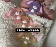 2026年最新】ストロベリーうさの人気アイテム - メルカリ