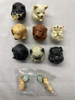 2026年最新】朝隈俊男 パグの人気アイテム - メルカリ