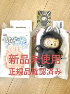 2026年最新】LABUBU シークレットの人気アイテム - メルカリ