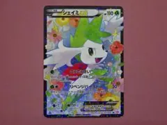 2026年最新】シェイミexの人気アイテム - メルカリ