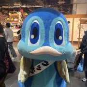 クロアチア・ドブロヴニクで拾ってきた石 - メルカリ