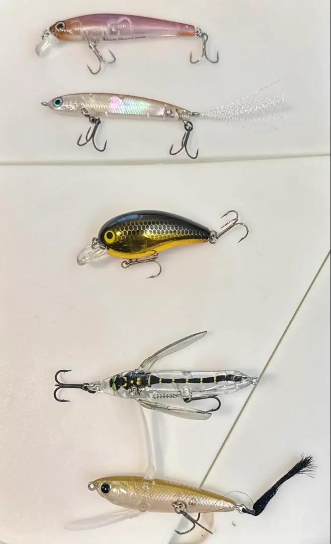 m40184762852_1.jpg?1769238513