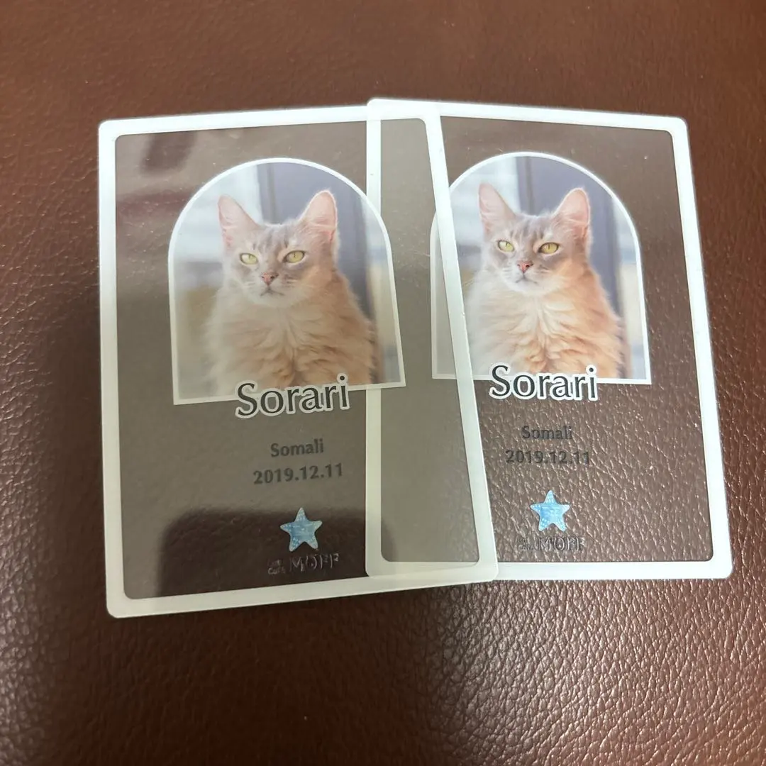 2026年最新】猫カフェ moffの人気アイテム - メルカリ