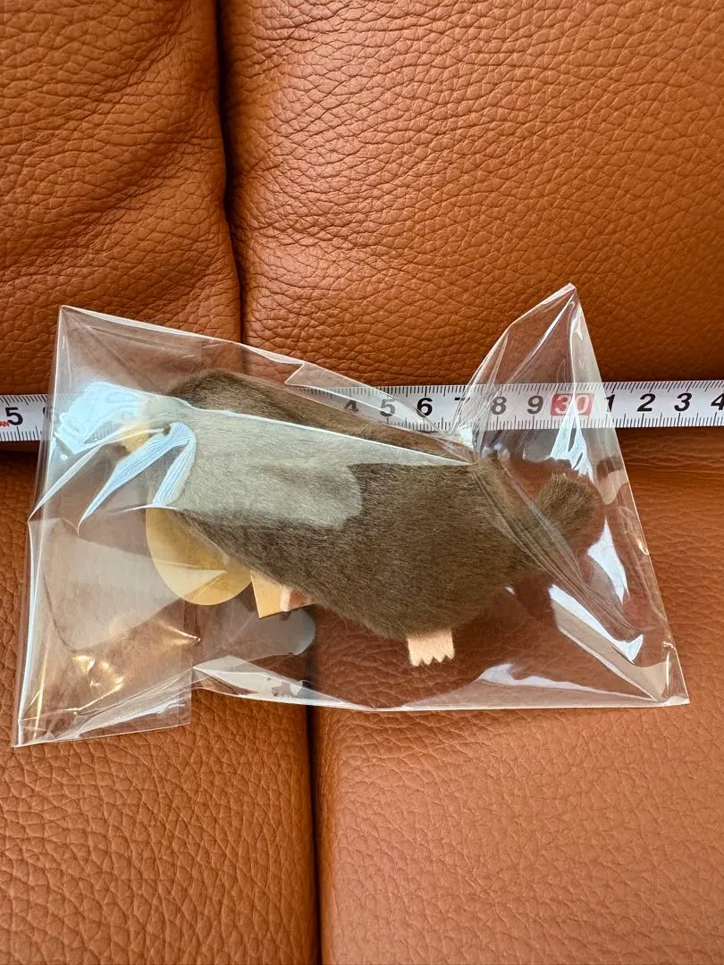 2026年最新】ヒミズモグラの人気アイテム - メルカリ