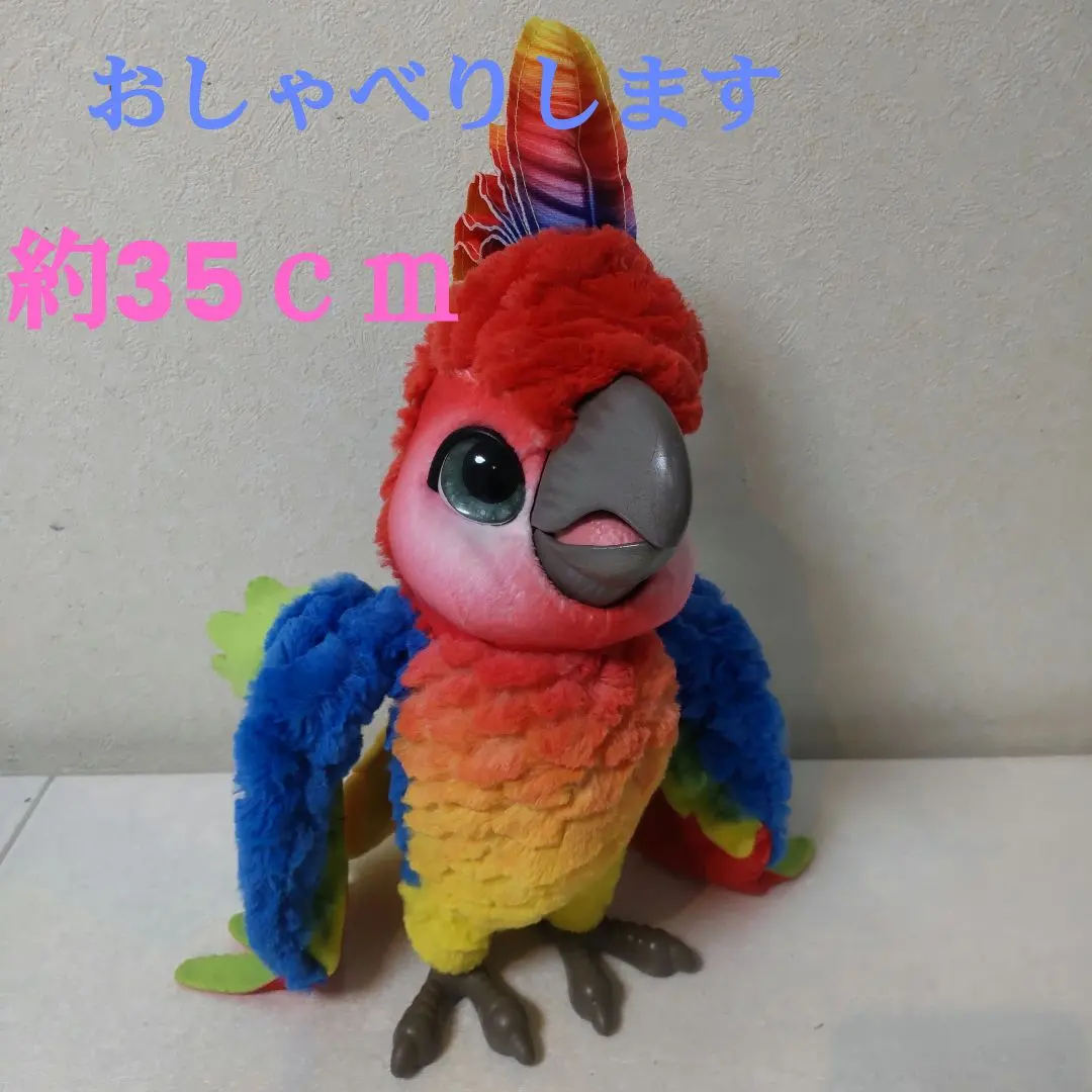 2026年最新】ファーリアル ショーバードの人気アイテム - メルカリ