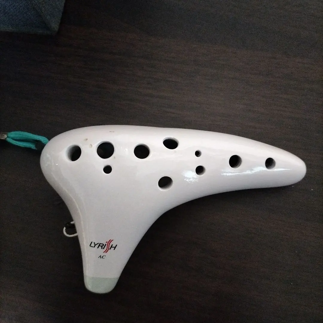 2026年最新】オカリナライリッシュの人気アイテム - メルカリ