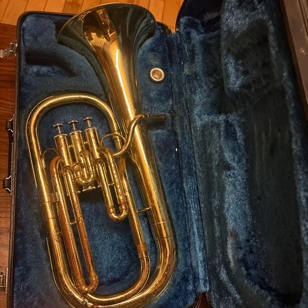 2026年最新】アルトホルン本体の人気アイテム - メルカリ