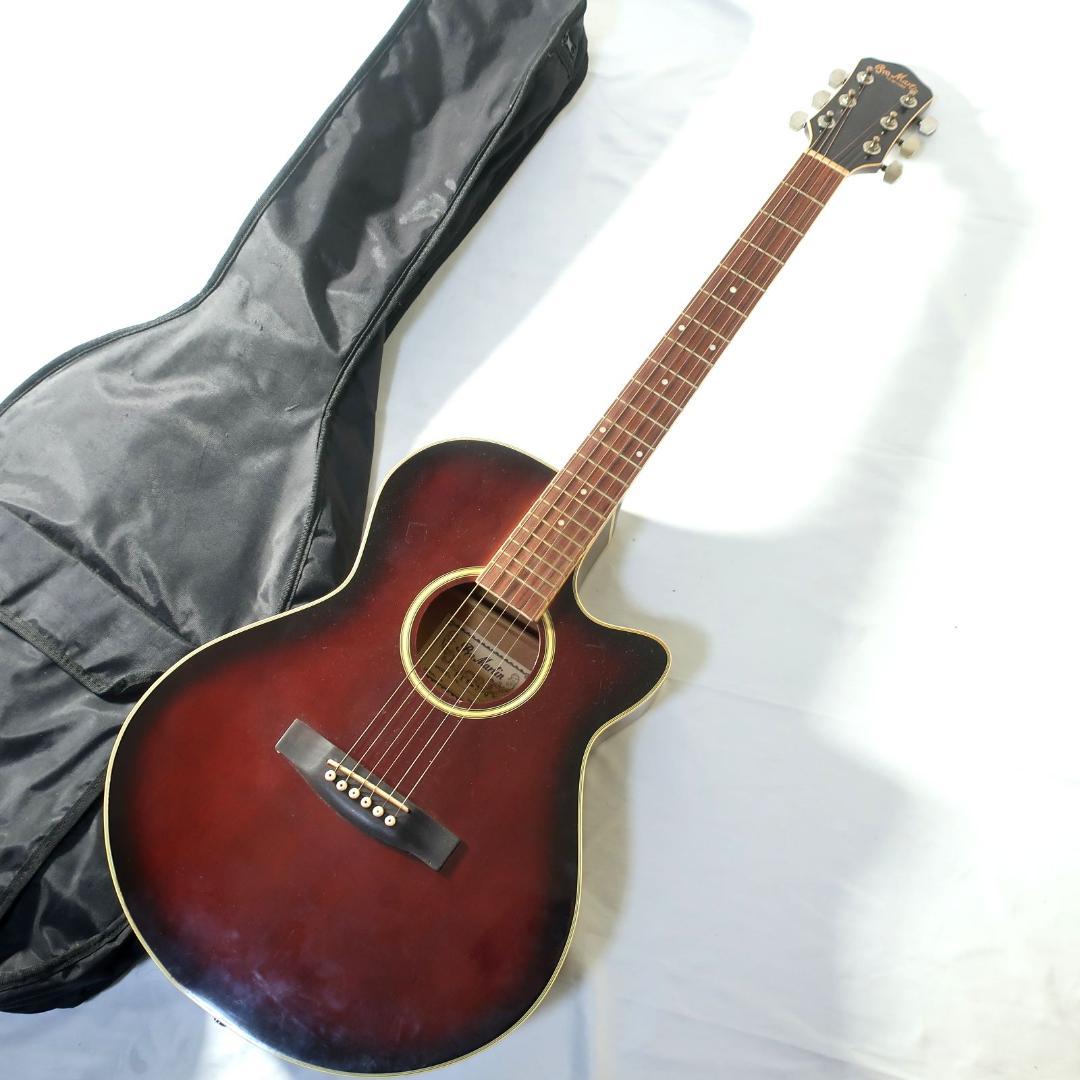 Pro Martin EAW-350 WRS エレアコ ギター ケース付 Pro Martin EAW-350 WRS エレアコ ギター ケース付 - メルカリ