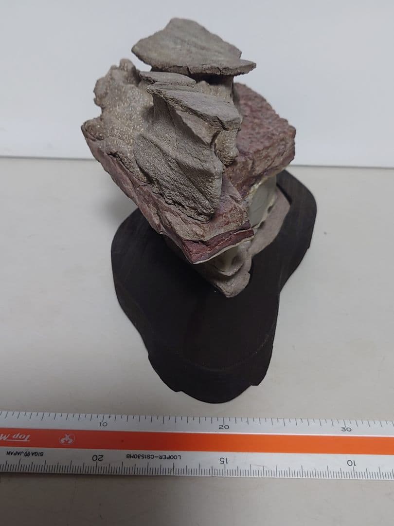 土佐鎧石 水石 鑑賞石