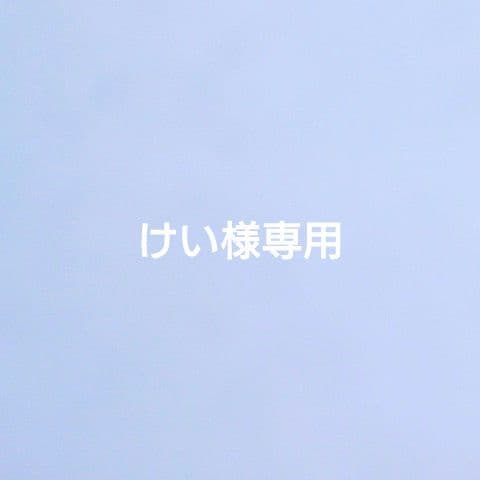 けい 1/4シェル型ソファ1人用▪️3人用 ソファ 1人掛け アンティーク シェル モダン PUレザー ベルベット