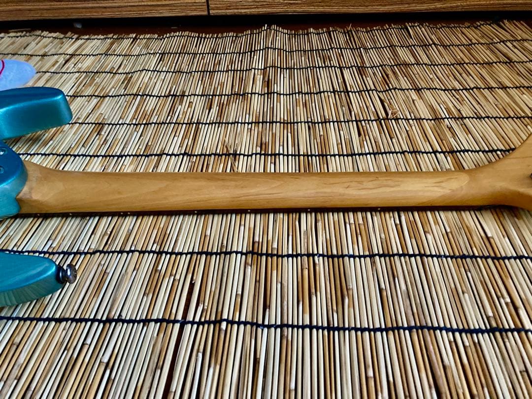 ☆どんきた☆ モディファイして新機能満載 AriaProII SSH ST