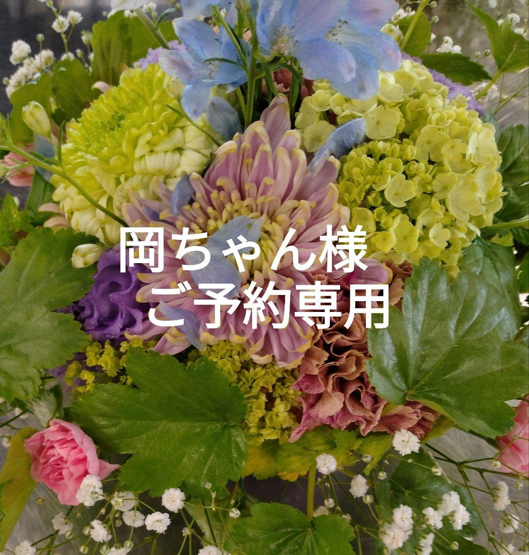 岡ちゃん様ご予約専用です。くろ