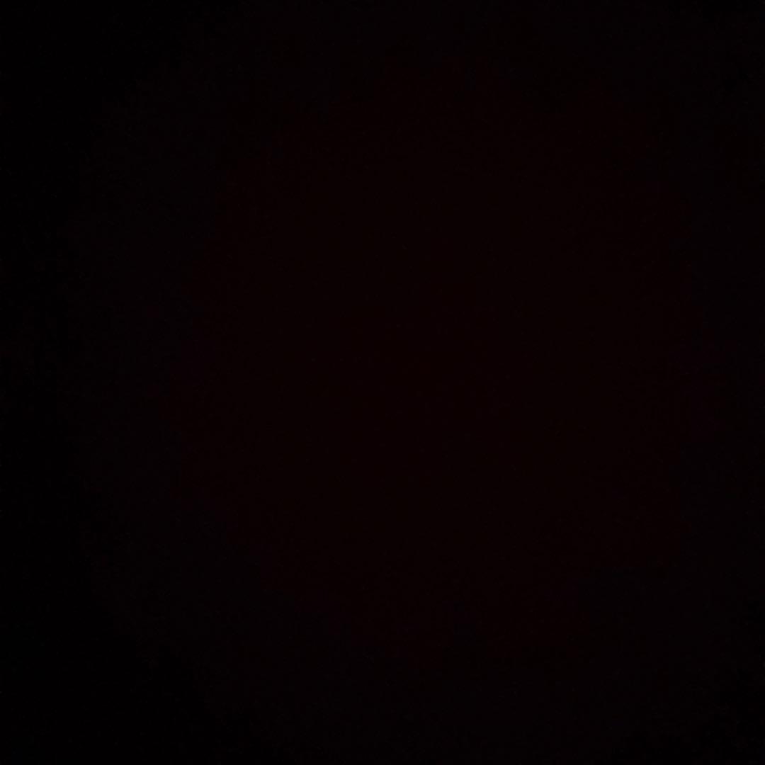 ブルーバード#プロフィール必読 　真骨彫クウガアルティメットフォーム S.H.Figuarts（真骨彫製法） 仮面ライダークウガ ライジング