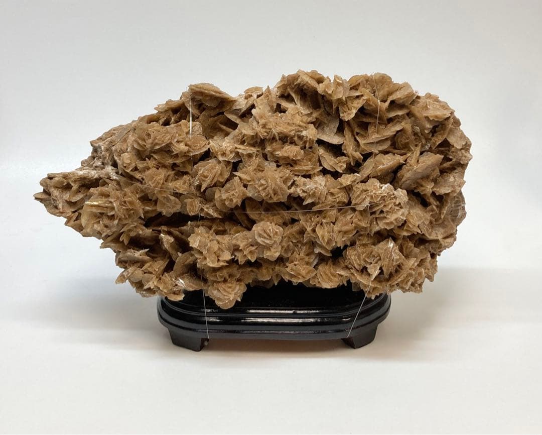 デザートローズ　台付き 楽天市場】【お試し】 デザートローズ（唐印） 4号 白色 プラスチック