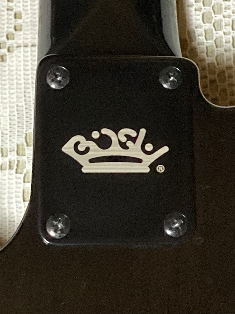 Fender Telecaster Thinline “BiSH”