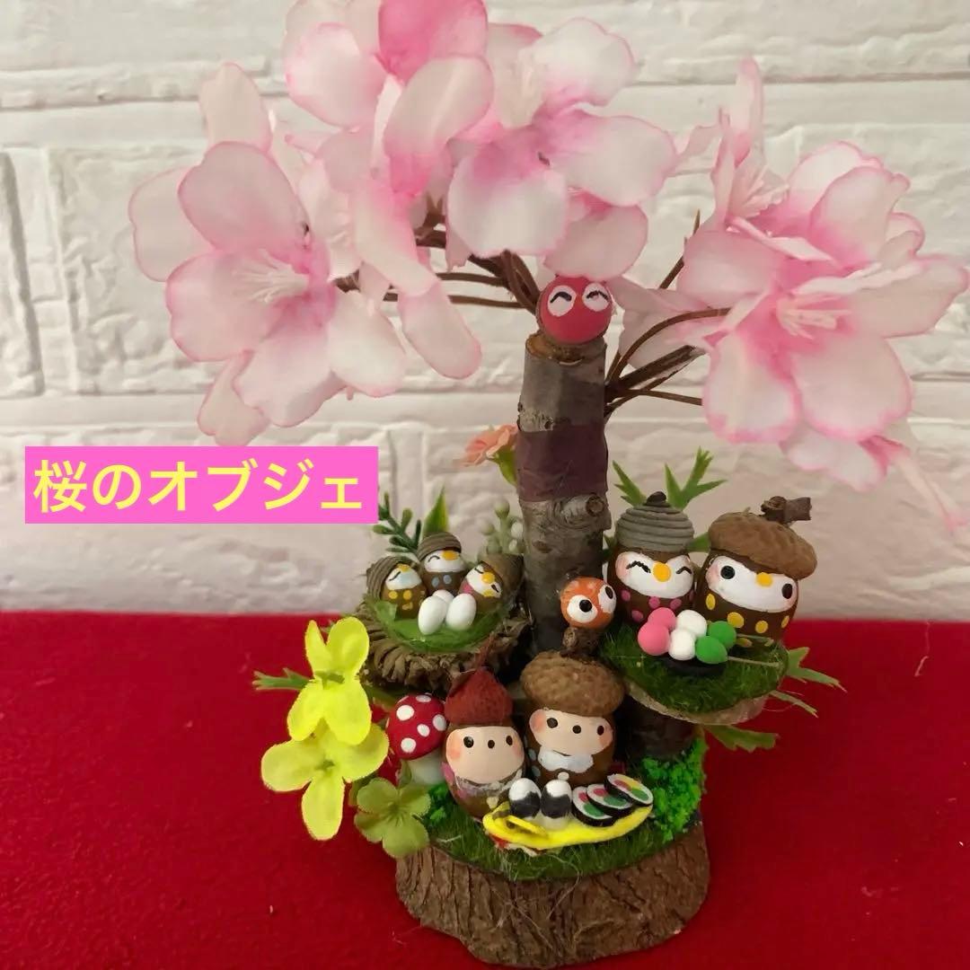 どんぐりアート♡たぬきちゃん壁掛けオブジェ お花見おオブジェ ミニ6個♡