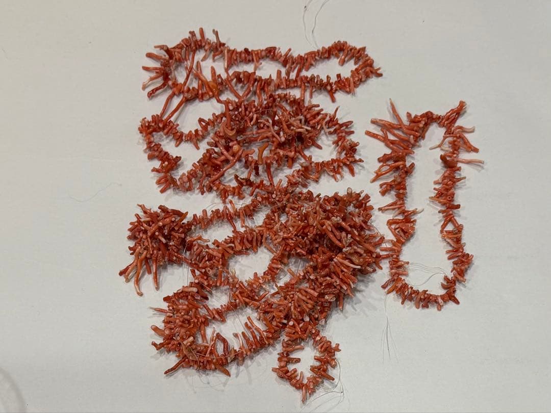 \"希少\" 珊瑚　ネックレス