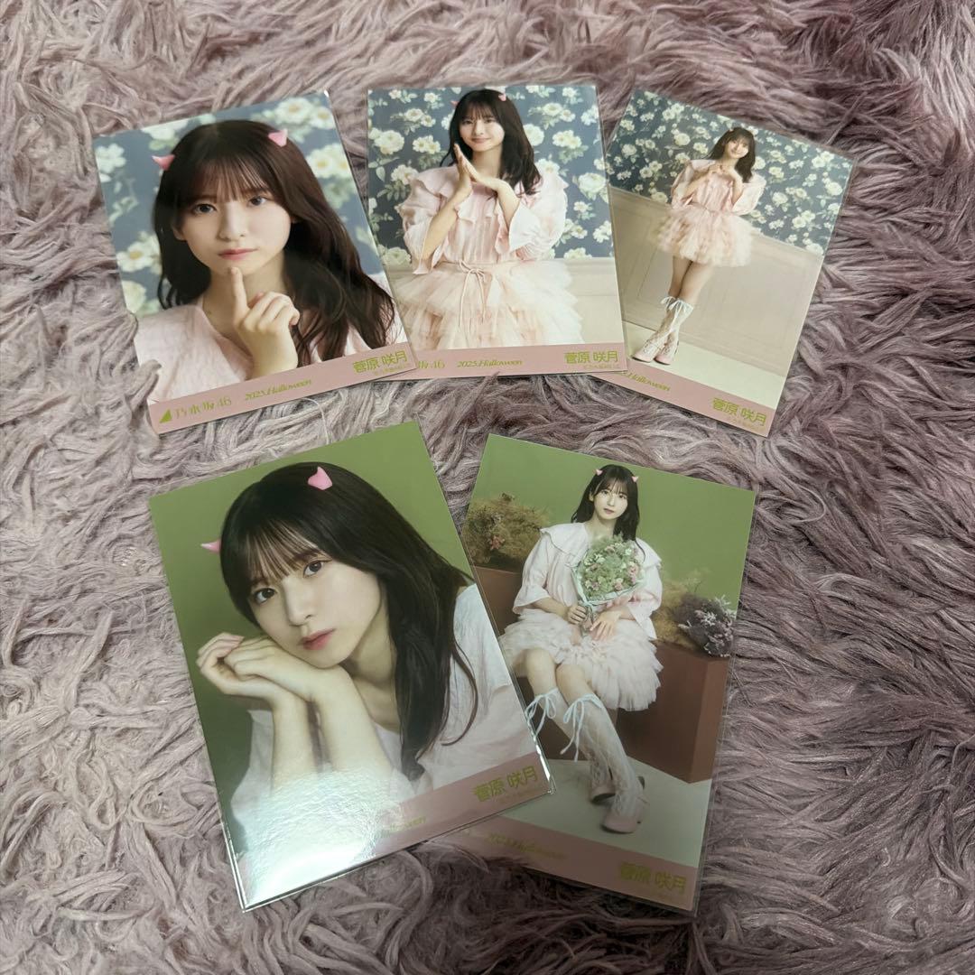 乃木坂46 生写真 菅原咲月 2025年ハロウィン 5種コンプ - メルカリ