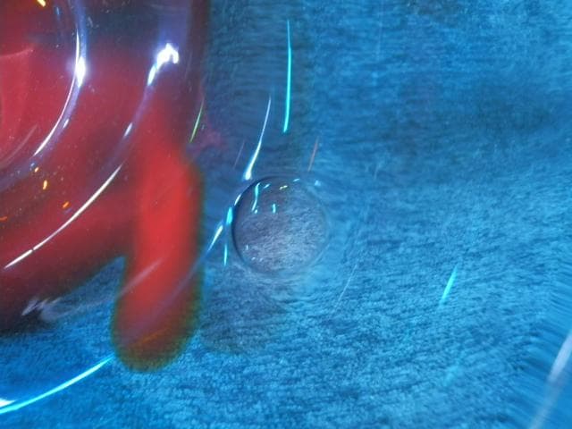 水指　エア玉封入　ガラス　馬先生