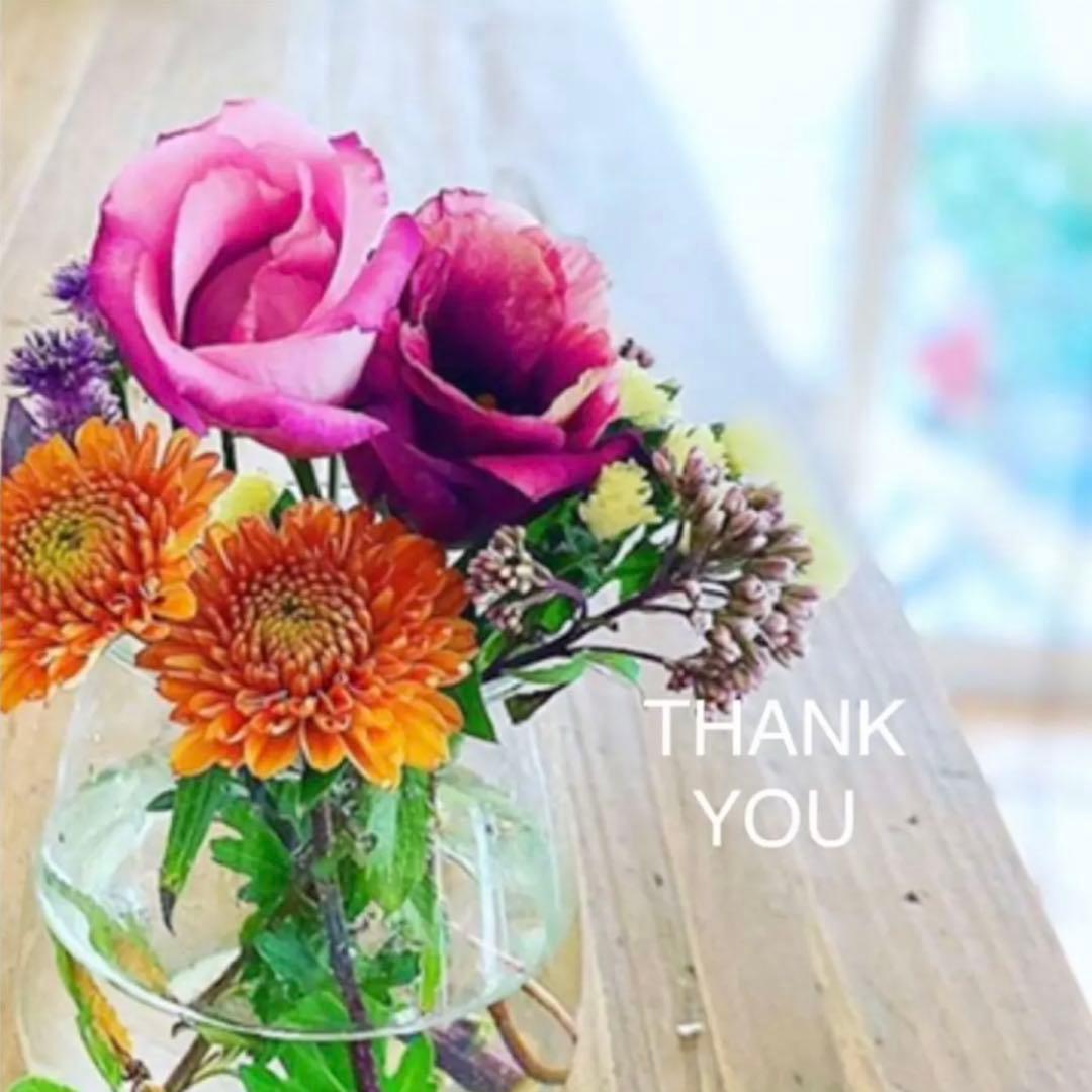 【ALMADO 】チェルラーホワイトブライトセラム◇30mL 楽天市場】チェルラーホワイト ブライトセラム 30ml（大容量）卵殻膜