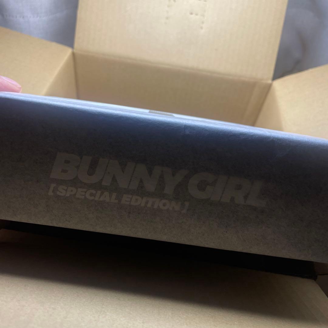 黒バニーガール　アイリン