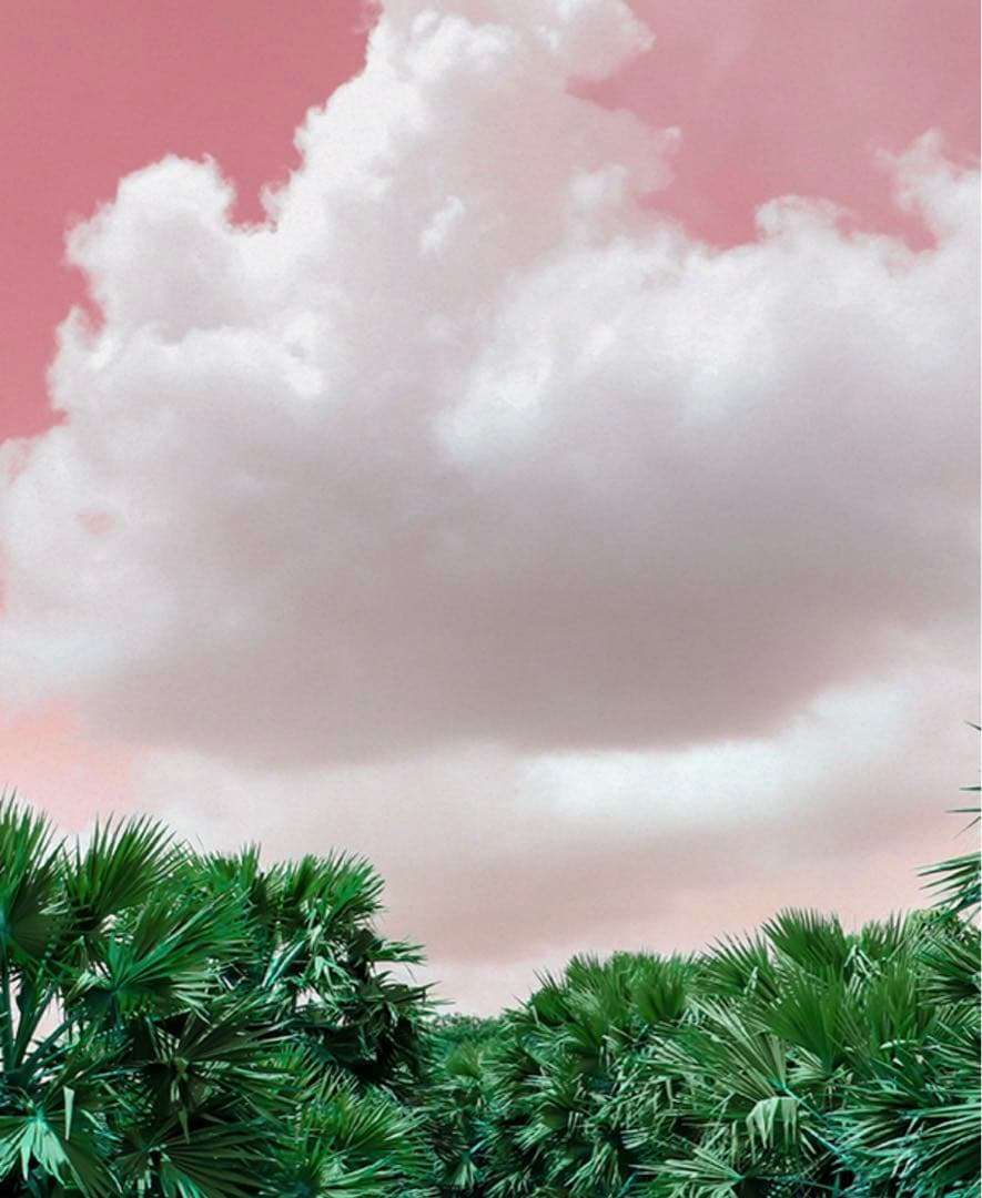 キャンドルワークス香料　韓国キャンドル　フレグランスオイル 香料　香り キャンドル用 キャンドルワークス 韓国産】アロマオイル Mirto (AP