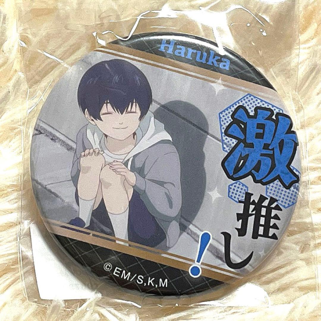 忘却バッテリー 激推し缶バッジvol.3 清峰 葉流火 シークレット 幼少期