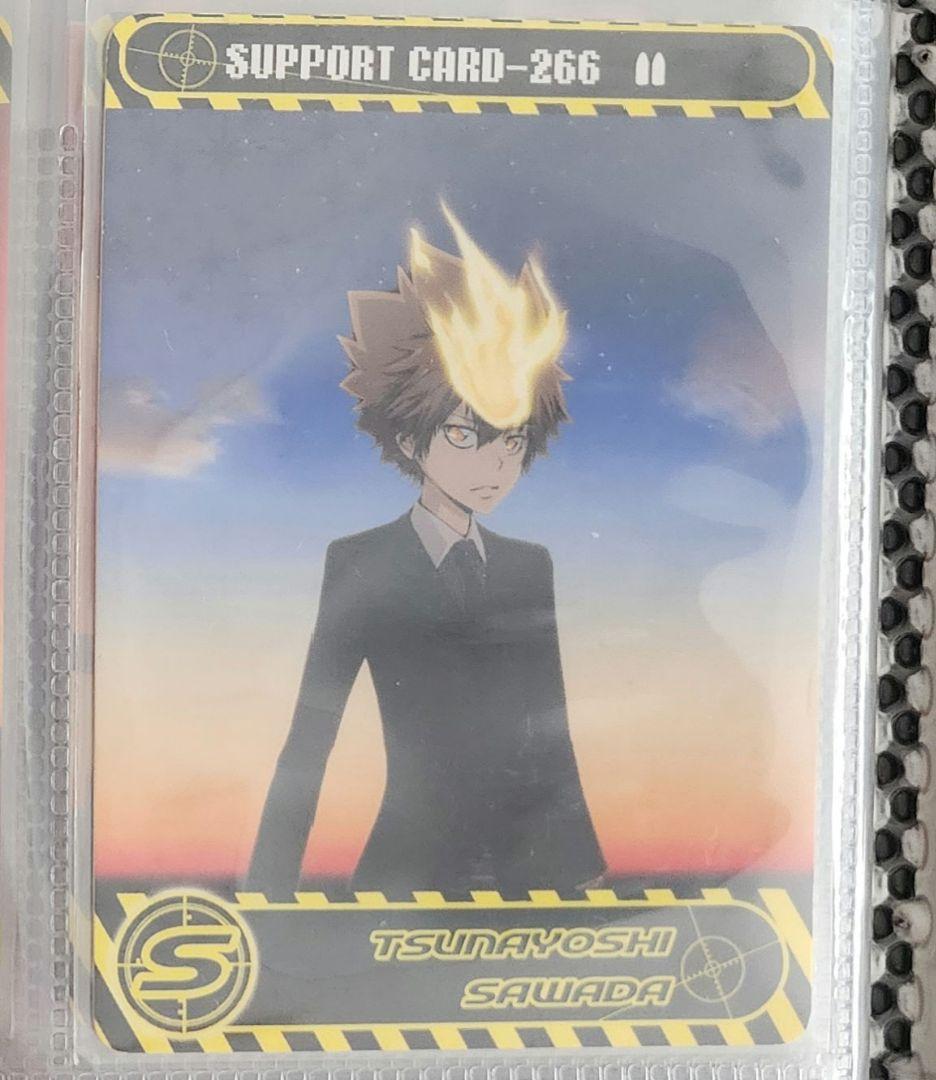 家庭教師ヒットマンREBORN サザンクロスバトル 沢田綱吉 レア - メルカリ