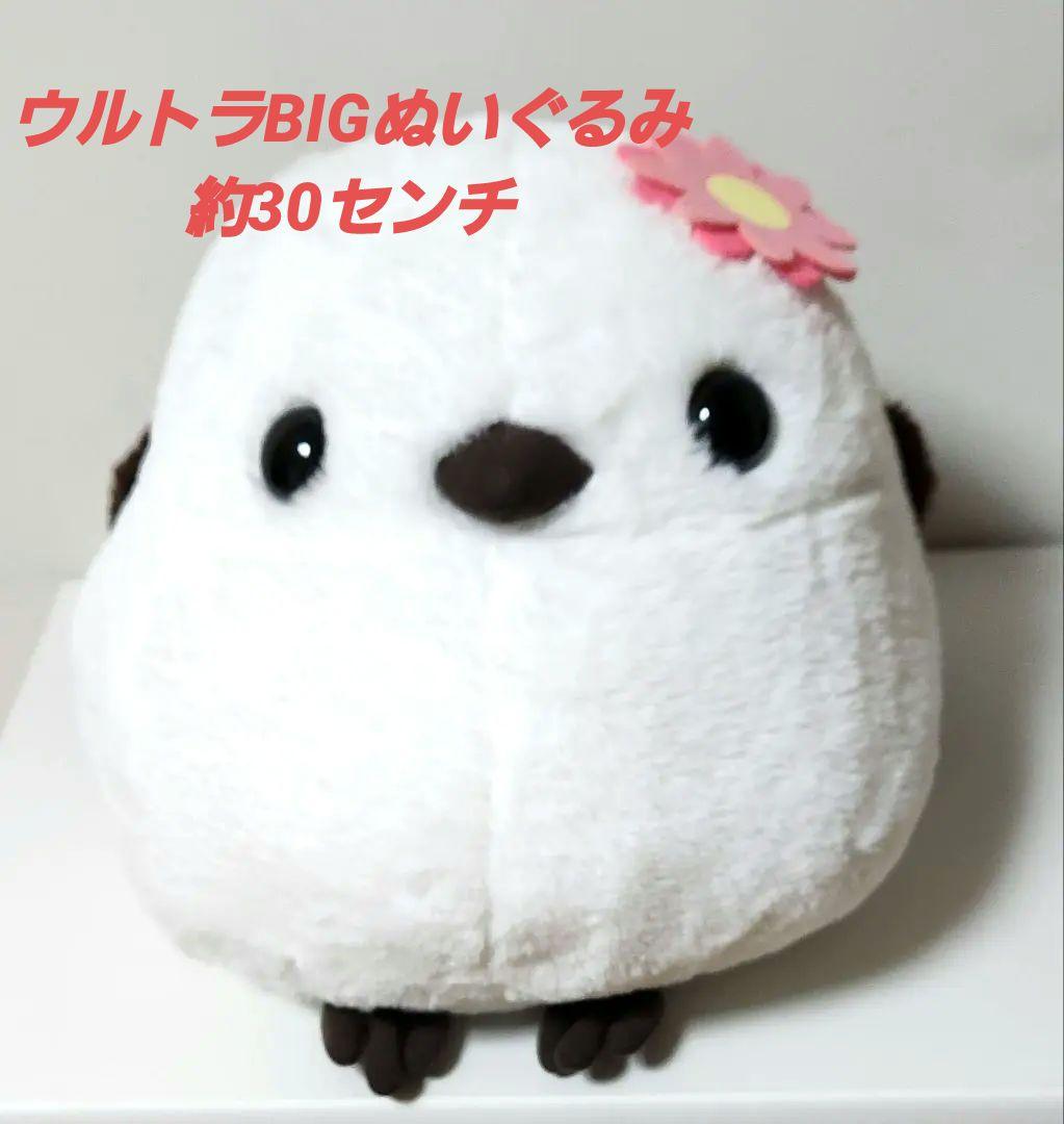 ふくふくシマエナガ カラフルフラワー 【しまゑガーベラ】 - メルカリ