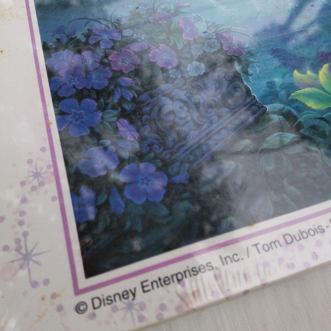 シュリンク付♥ジグソーパズル 】シンデレラ イヴニング オブ マジック