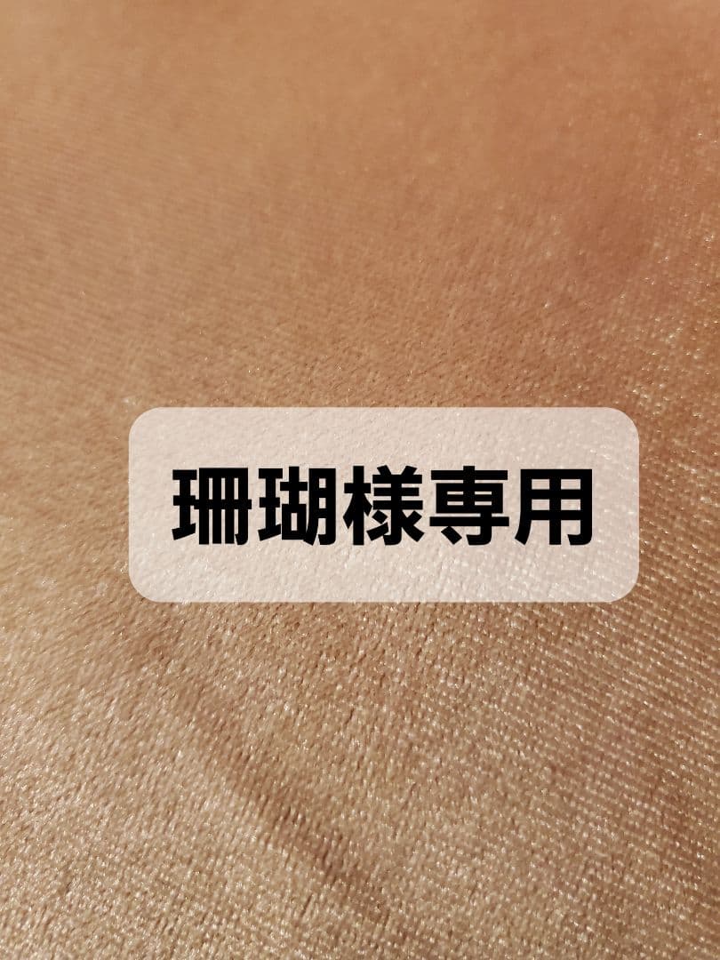 11/1 珊瑚　2個セット Amazon | モトボディキットニンジャ適用ZX6Rオートバイ13-18 適用ZX 6R