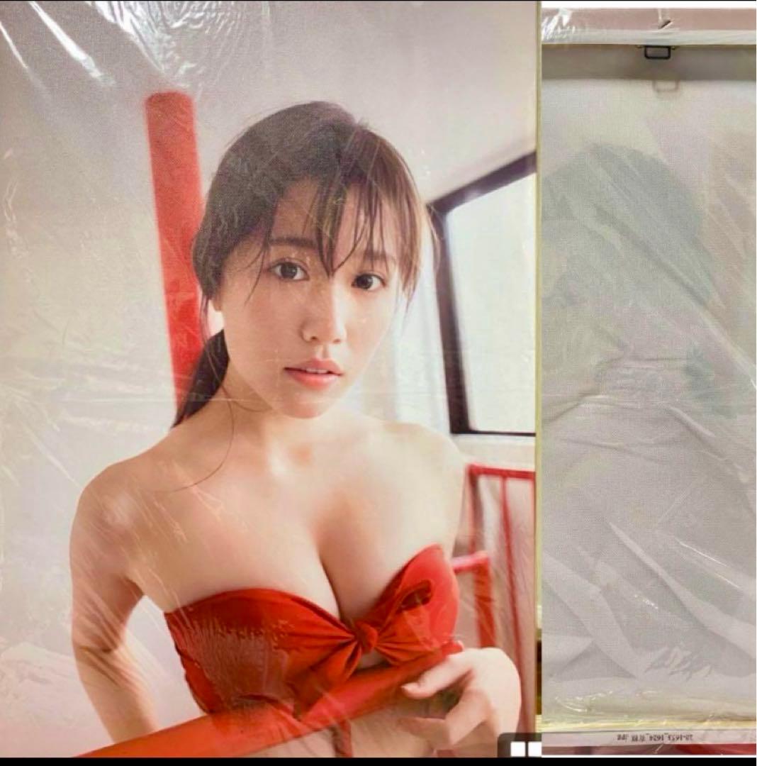 有村架純　アートパネル　2点 Amazon.co.jp: 有村架純 写真 ポスター 3 タペストリー アートパネル