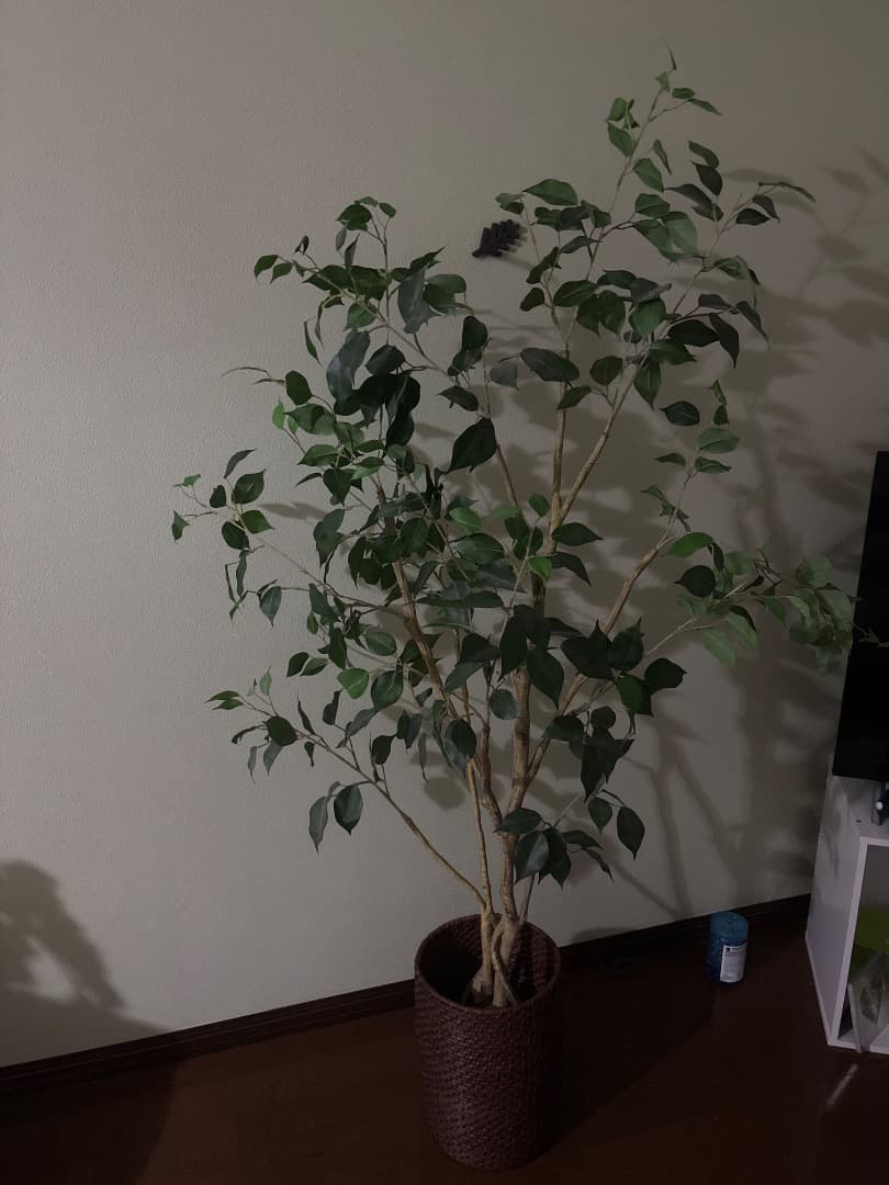 花瓶・フラワースタンド Flowers フラワースタンド 花台 25cm スタンド 鉢スタンド アイアン プランター