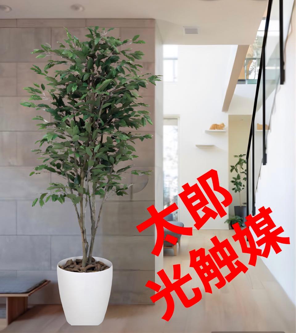光触媒　人工観葉植物　フェイクグリーン　ベンジャミンツリー 1.8m