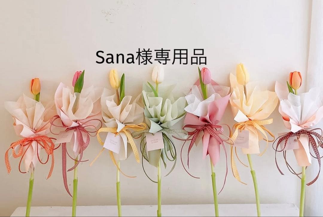 Sana　クレンザー業務 カネヨ 液体クレンザー カネヨンS 550g 101011 -製｜電子部品・半導体