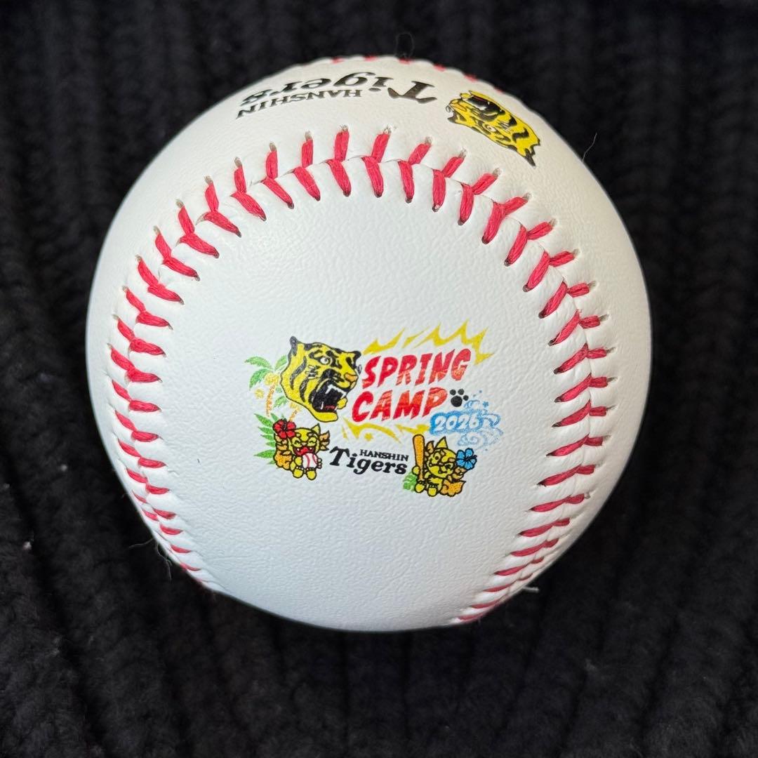 阪神タイガース 才木浩人 直筆サインボール 沖縄キャンプ限定