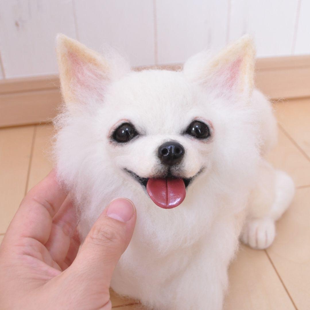 送料無料♡伏せをするチワワ