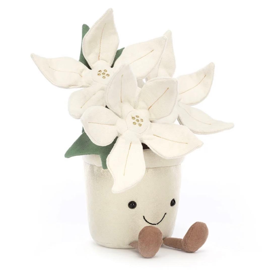 新品 ジェリーキャット ポインセチア ぬいぐるみ クリスマス 花 植物