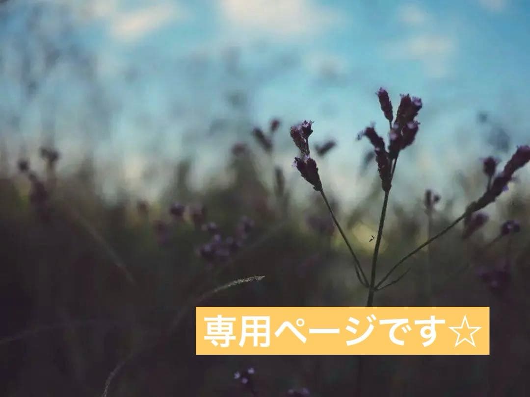 のほほんページです☆ 100SKU超の新商品情報が解禁！6月13日(金)～開催《ぼのぼのショップ